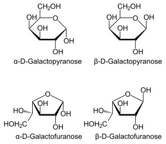 Galactose polymer clipart 20 free Cliparts | Download images on ...