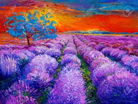 Lavender fields | Way Cool Pictures