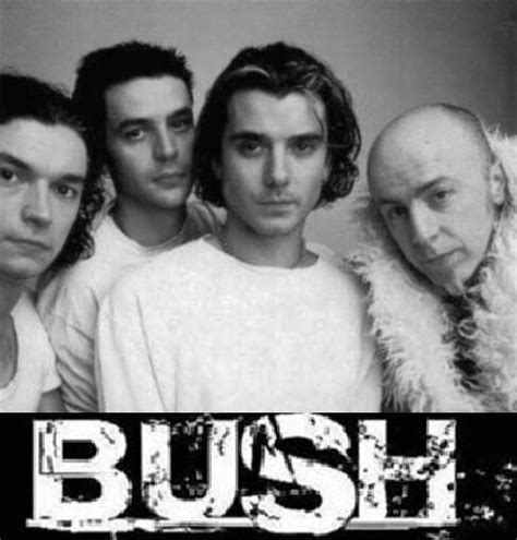 Who is Bush?. Bush is a grunge band that was formed… | by Allysa De ...