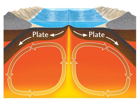 Quia - Heat Transfer Vocabulary Review