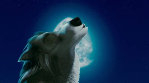 Moonlight howl pic - Alpha and Omega Photo (24663040) - Fanpop