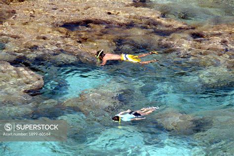 Oahu, Hawaii - People Snorkeling At The Hanauma Bay Coral Reef On The ...