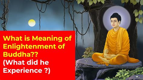 What is Meaning of Enlightenment of Buddha? What did "Buddha ...