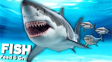 Eating Everyone To Grow My Baby Shark Family - Feed And Grow Fish - YouTube