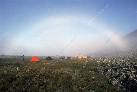 Fog Bow - Stock Image - C003/4016 - Science Photo Library