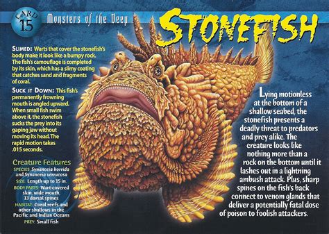 Stonefish | Wierd N'wild Creatures Wiki | FANDOM powered by Wikia