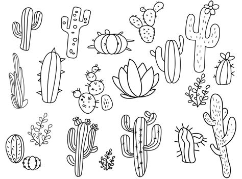 Hand drawn outline cactus set. 7795833 Vector Art at Vecteezy