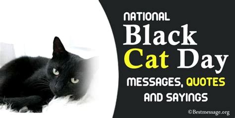 National Black Cat Day Messages and Quotes – Sample Messages