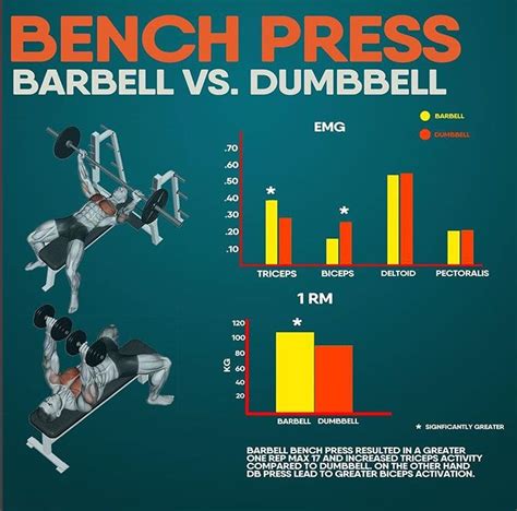 BENCH PRESS - BARBELL & DUMBBELL | Bench press, Dumbbell press, Dumbbell