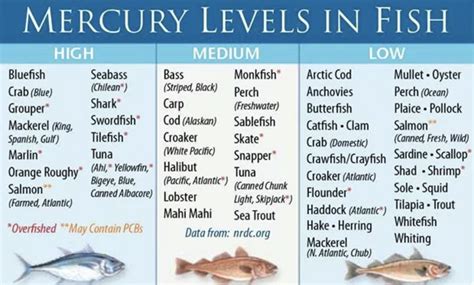 Mercury in Fish - Detoxmetals in 2020 | Mercury in fish, Low mercury ...