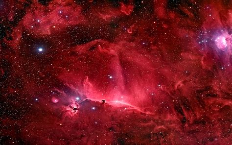 Red galaxy illustration, space, nebula, stars, Horsehead Nebula HD ...