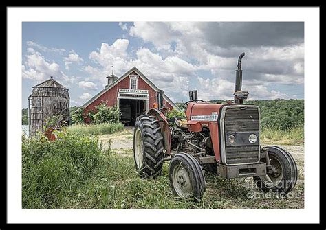 Maple Grove Farm, Vermont – Dogford Studios