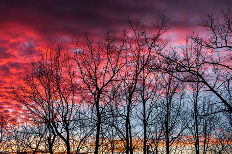 Winter Into Spring: Photography Tips - The Laurel of Asheville