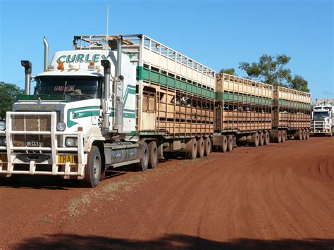 Cattle-hauler Road Train In Western Australia. Wallpaper and Background ...