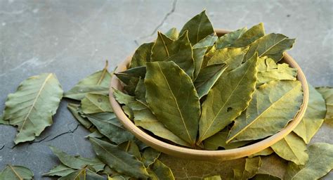 What Are Bay Leaves? | A Guide to Bay Leaves | Tilda Rice UK