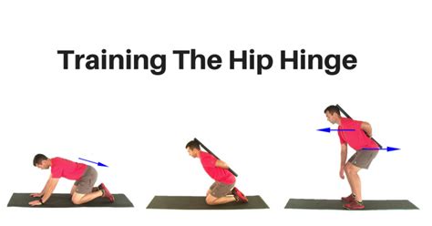 Training the Hip Hinge - Critical Exercises For Back Pain