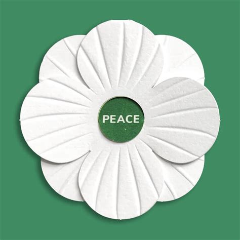 British Legion follow white poppy example and make red poppies plastic ...