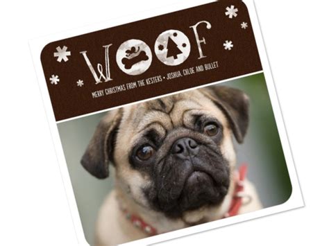 Best Pet Holiday Cards | Dog Lover Christmas Photo Cards | GreatGets.com