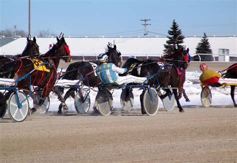 Two Chicago-Area Harness Tracks to Close | HORSE NATION