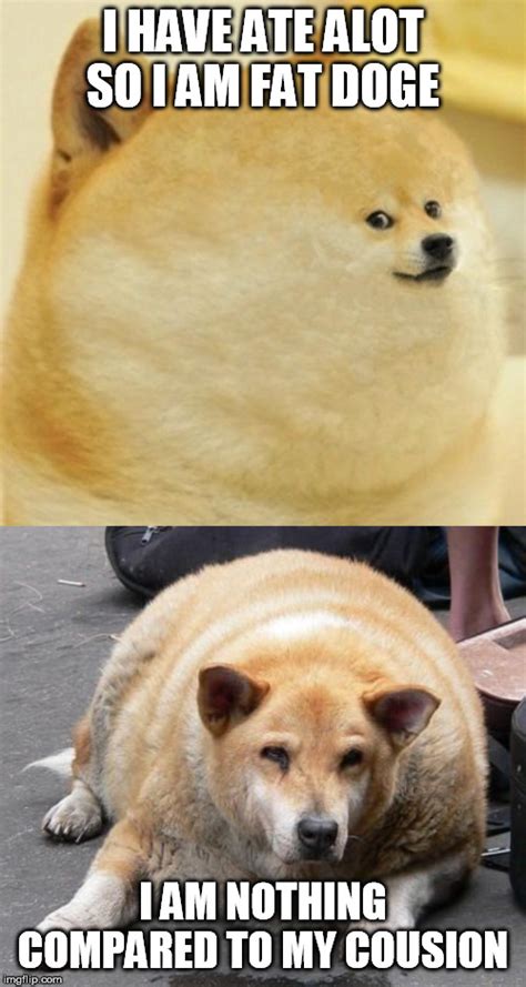 Image tagged in fat dog,fat doge wow - Imgflip