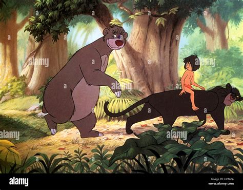 THE JUNGLE BOOK, from left: Baloo the Bear, Mowgli, Bagheera, 1967 ...