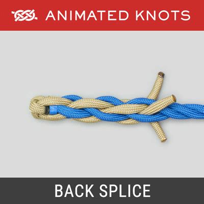 Back Splice | How to tie a Back Splice using Step-by-Step Animations ...