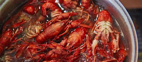 Crawfish Boil Tips | Academy