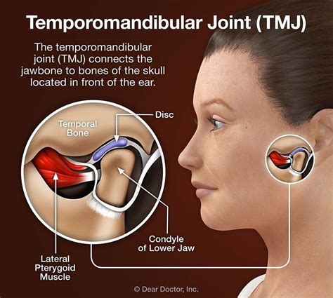 TMJ Disorders | Chiropractor In Calumet City, IL | ES3 Fitness Rehab