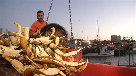 Crab season delayed for a 4th time to protect migrating whales from ...