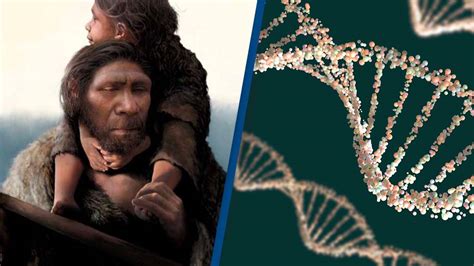 First Neanderthal family portrait revealed by DNA discovery