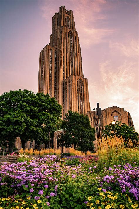 University of Pittsburgh Campus Flowers Sunrise Photograph by Aaron ...