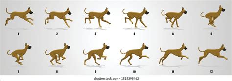 Run Cycle Animation Sequence Animation Frames Stock Vector (Royalty ...