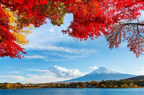 Fall Serenity: HD Wallpaper of Mount Fuji's Majestic Beauty