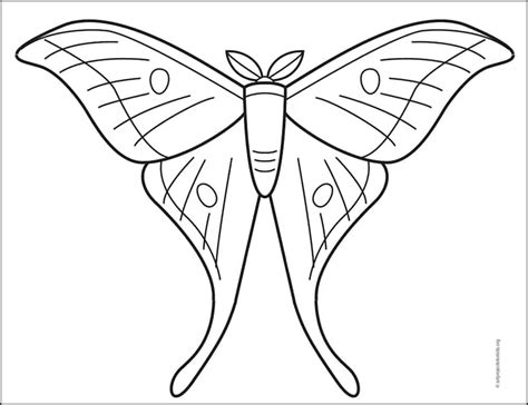 Easy How to Draw a Moth Tutorial and Moth Coloring Page