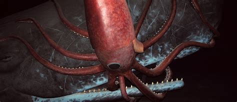 Daily Tentacle: A Teaser for the First Footage of A Giant Squid in its ...