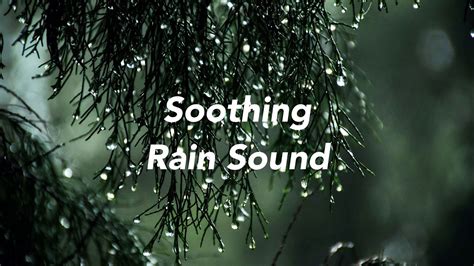 Soothing Rain Sounds - Short Clip - YouTube