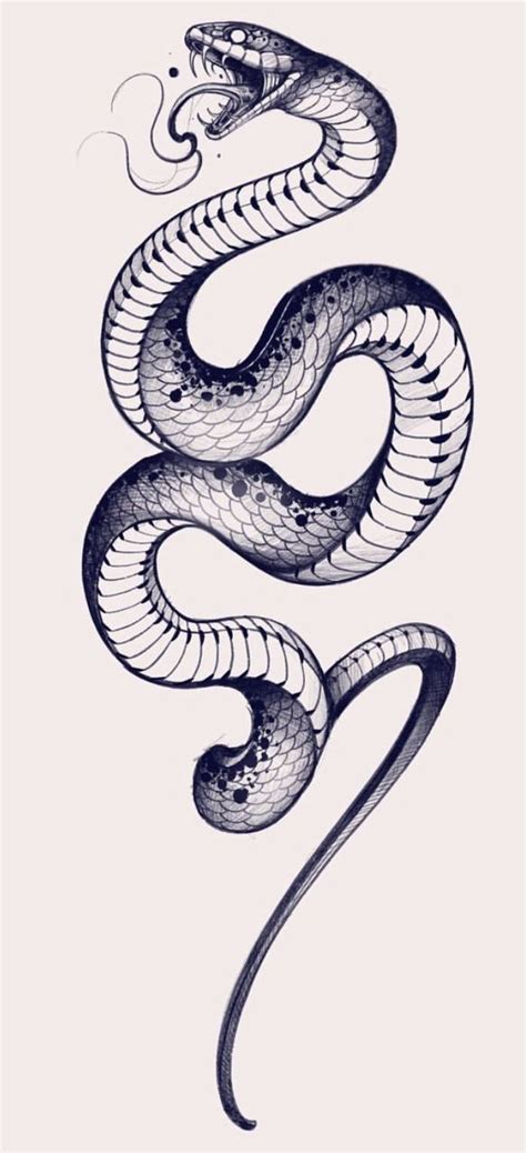 a black and white drawing of a snake with its tail curled up in the air