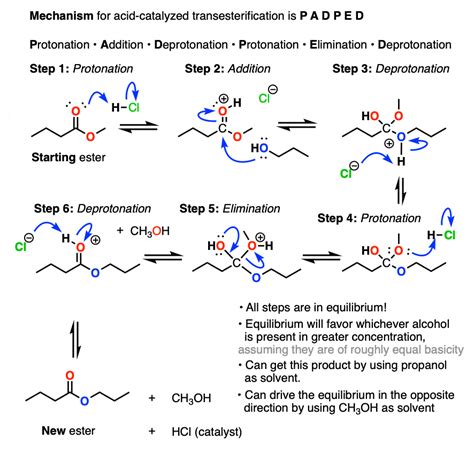 Esterification Mechanism