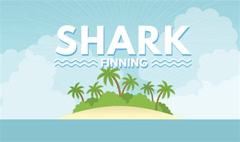 Shark Finning - The Facts Behind The Cruelty #Infographic - Visualistan