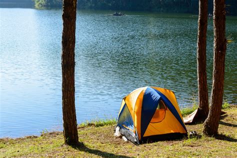 Best Lake Tahoe Camping | Just Van Life