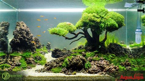 Pin by Stephanus Mardianto on Aquascape | Aquascape aquarium, Aquascape ...