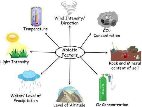 Difference Between Abiotic and Biotic Factors (with Comparison Chart ...