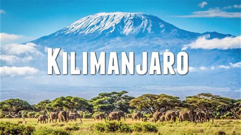 CLIMBING MOUNT KILIMANJARO - YouTube