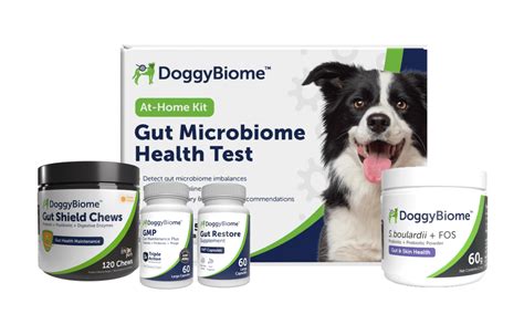 Dog Products for Diarrhea - DoggyBiome