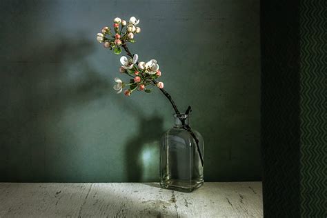 pop art photography ideas still life - Lemuel Amiri