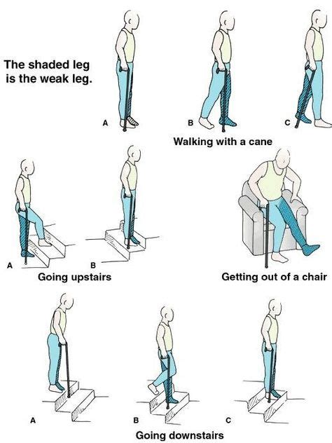 posterior hip replacement precautions handout | Total Hip Replacement ...