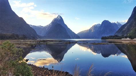 Milford Sound Wildlife | Cruise Milford