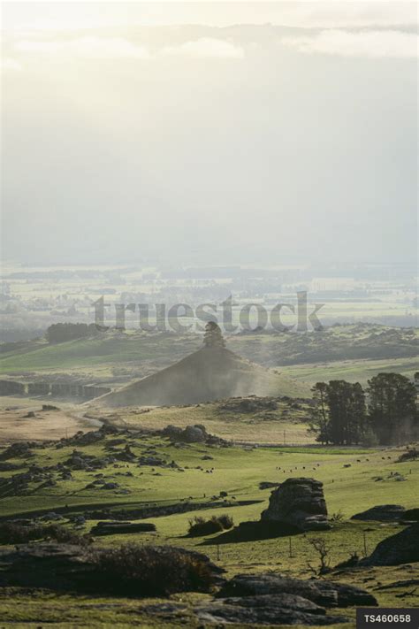 Rural Landscape by Jodie Gibson - Truestock