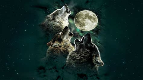 Wolf Art Wallpaper (79+ images)