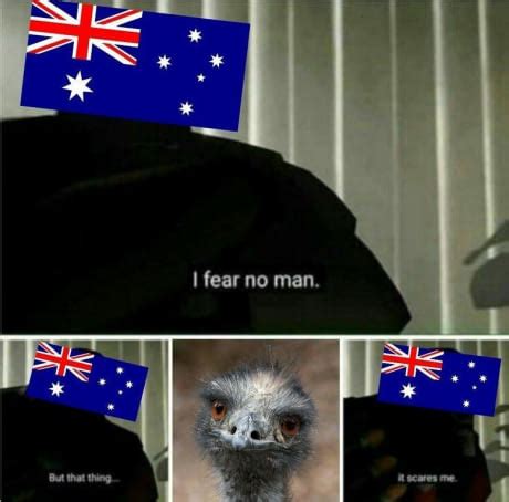 Emu war I : r/HistoryMemes